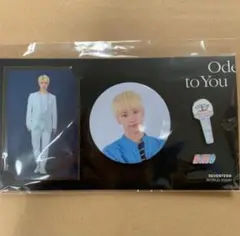 2019 SEVENTEEN バッジ セット(DINO)