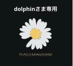 dolphinさま専用
