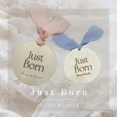 木製レターバナー Just Born レターバナー ニューボーンフォト 赤ちゃん