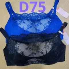 D75　トリンプ　アモスタイル　ワンダーメイクマシュマロタッチ ブラ　2枚