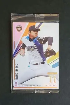 2025年最新】オーナーズリーグ 大谷翔平 インフィニティの人気アイテム