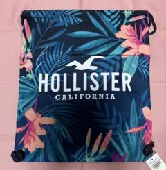 ホリスター ナップサック