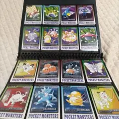 ポケットモンスター