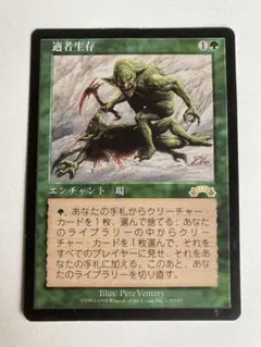 適者生存/Survival of the Fittest 適者生存 [EXO] 【BIGWEB | MTG】日本最大級の激安カードゲーム