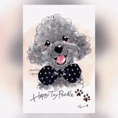イラスト 原画 ポストカード 絵 【トイプードル】312