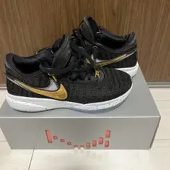 Item thumbnail for item 6b1847a8-4aee-45ea-a074-b05cfe978adc