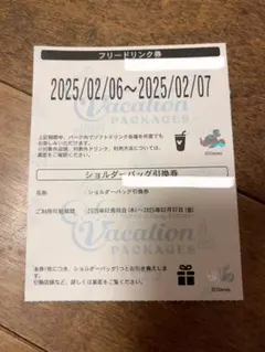 2025年最新】ディズニーバケーションパッケージ引換券の人気