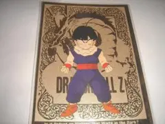 ドラゴンボール　アマダ PPカード　海外　ゴールド　キラ　カード B　孫悟飯