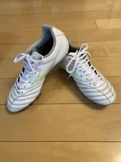 モナルシーダネオ3