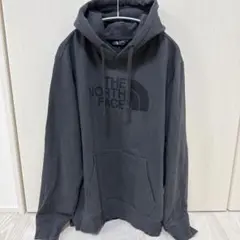 THE NORTH FACE サイズL