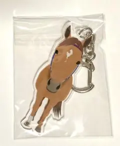 2025年最新】テイエムオペラオーの人気アイテム - メルカリ