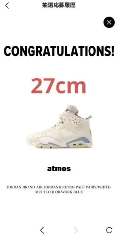 JORDAN BRAND AIR JORDAN 6 RETRO