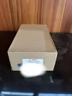 S-MIST アクセルワールド　1/5黒雪姫(水着ver) ガレージキット