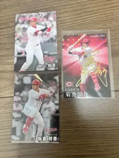 2025年最新】プロ野球チップスカード菊池の人気アイテム - メルカリ