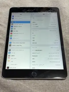 iPad mini3
