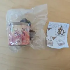 ディズニーリゾート40周年　カプセルトイ　クランチ