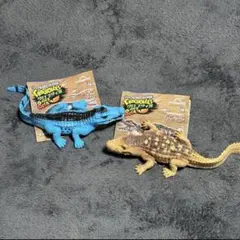 クロコダイル&co. ニューギニアワニ　ブラジルカイマン