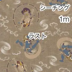 ラスト 1m 風神雷神 海松 シーチング