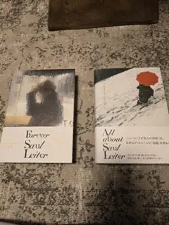 Allabout SaulLeiter & Forever SaulLeiter