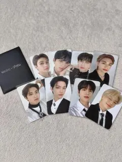 straykids NACIFIC スキズ ナシフィック トレカ 8枚セット