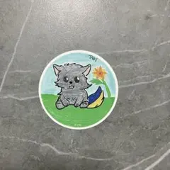 &TEAM Go in Blind(月狼) ステッカー TAKI タキ