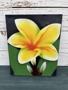 バリ島 プルメリア 絵画 アート パネル インテリア ハワイ
