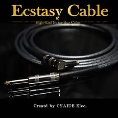 HighEnd】フラッグシップ Ecstasy Cable「L/S2m」［新品］