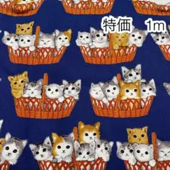 ラスト2点 特価 1m かご猫 ネイビー オックス