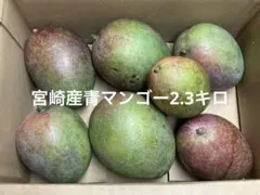 2025年最新】摘果マンゴーの人気アイテム - メルカリ