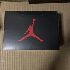 27cm JORDAN AIR JORDAN 5 TOKYO 23
