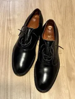Alden✨53711✨カーフプレーントゥ✨7D✨美品✨ Alden✨53711✨カーフプレーントゥ✨7D✨美品✨ - メルカリ