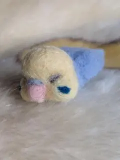 セキセイインコ　羊毛フェルト　寝落ちしちゃったイメージ　ハンドメイド②