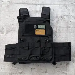 実物 LBX Armatus II & LBX バックパネル 黒 LBX Tactical Armatus II Plate Carrier プレートキャリア実物