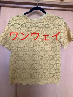 ワンウェイレース トップス カットソー