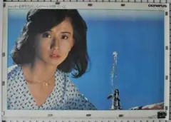 2025年最新】大場久美子OLYMPUSの人気アイテム - メルカリ