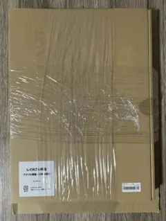 しぐれうい（9さい） ガレージキット 完成品 ワンフェス - メルカリ