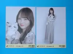 乃木坂46 生写真 田村真佑 エレガント 3種コンプ 美品 - メルカリ