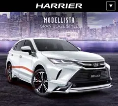 2025年最新】ハリアー80 モデリスタの人気アイテム - メルカリ