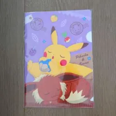 ポケモン　A5クリアファイル