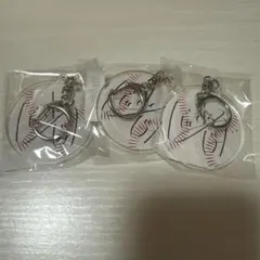 ニッポンシリィズ バッテリィズ 寺家 アクリルキーホルダー
