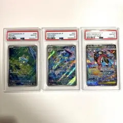 メガゲッコウガex SAR 進化ラインPSA10⭐︎3連番