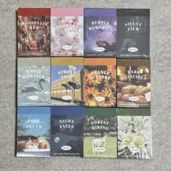 大容量 600枚 海外風 フレークシール 12冊セット コラージュ素材