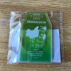 いれいす Summer Tour 2026 新潟 ラゲッジタグ風チャーム - メルカリ