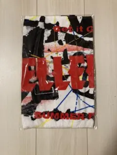 ellegarden ミュージシャン