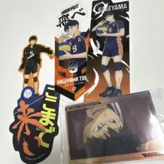 ハイキュー!! 烏野高校セット 缶バッジ ポストカード コースター