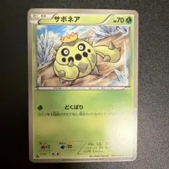 2026年最新】サボネアの人気アイテム - メルカリ
