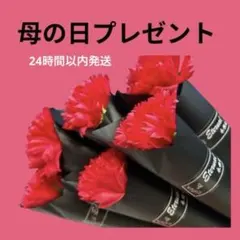 【母の日】カーネーション ソープフラワー 花束 ピンク ギフト 枯れない花