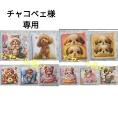 チャコベェ様専用