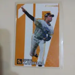 プロ野球チップスカード2024　有原航平　ソフトバンク