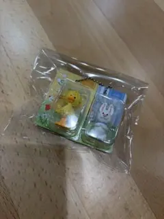スージーズーミニチュアパッケージチャーム